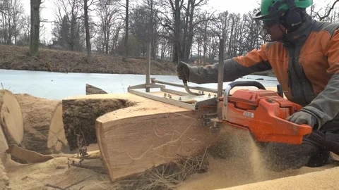The second life of oak when sawing boards using a mobile chainsaw mill Stock Footage 151591408