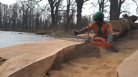 The second life of oak when sawing boards using a mobile chainsaw mill Stock Footage 151591582
