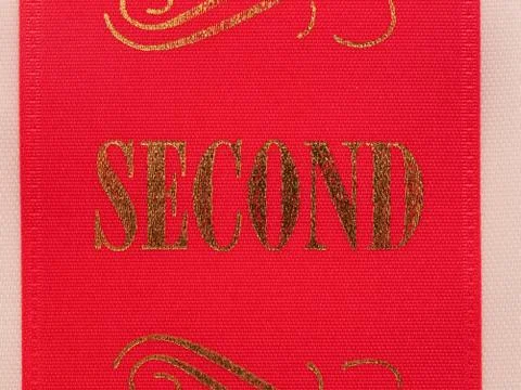 Second place ribbon Stock Photos