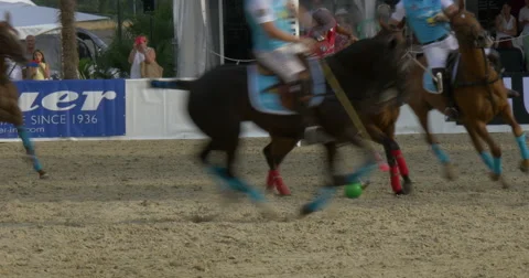 Second polo game Stock Footage 63497900