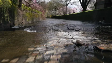Second River, Reservoir, Branch Brook Park, Newark, NJ, Essex County, Drone, 2K Stock Footage 261072397