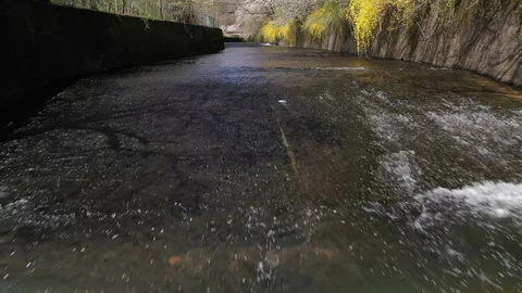Second River, Reservoir, Branch Brook Park, Newark, NJ, Essex County, Drone, 2K Stock Footage 261072897