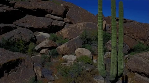 Second Saguaro Aerial Stock Footage 76140747