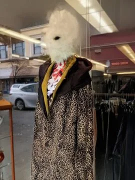 A second view of the boutique display featuring an animal-pattern jacket Stock Photos