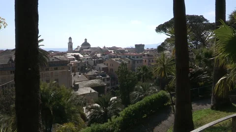 A second view of the downtown from the botanical park Stock Footage 56813463
