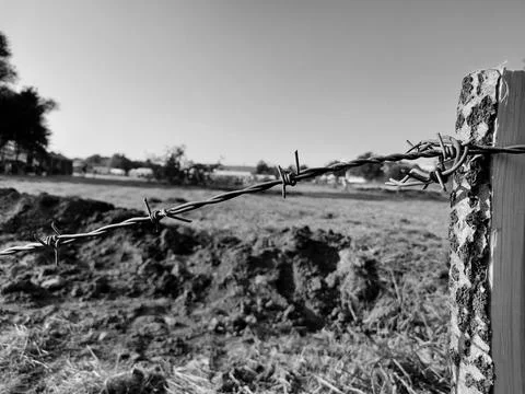 Second war Stockfoto's