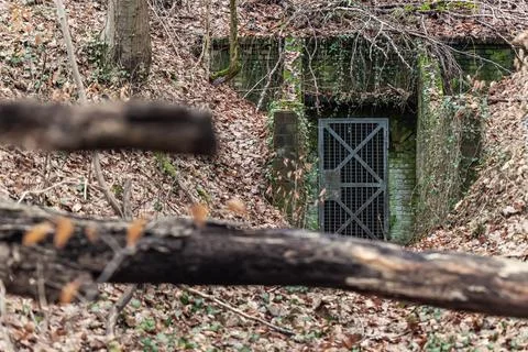 Second world war old abandoned concrete military bunker shelter hidden in forest 스톡 사진