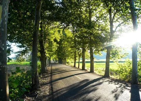 Secondary road 스톡 사진
