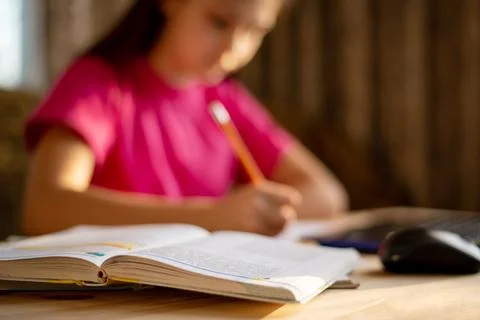 Secondary school female learner preparing her homework Stock Photos
