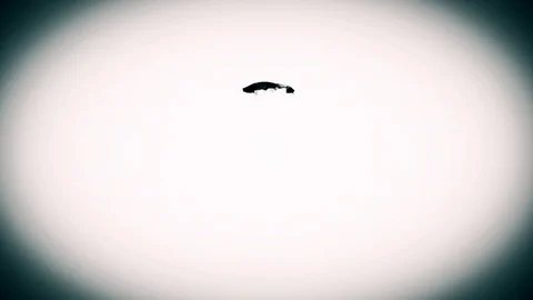 Seconds - Countdown Stock-Footage 88176746