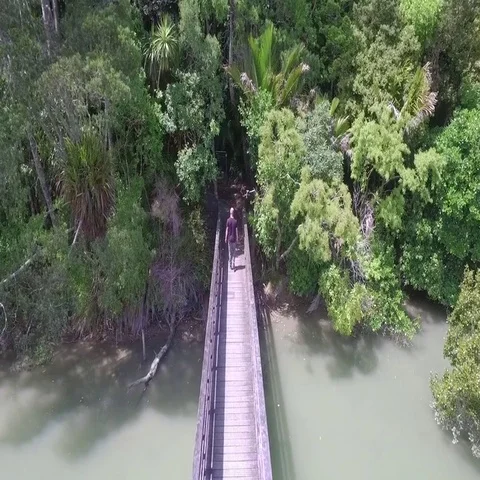 Secret bridge leading to forest Stock Footage 69722178