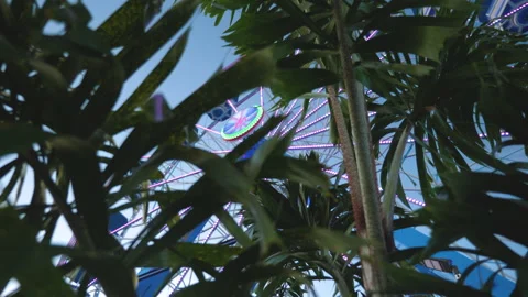 Secret Ferris Wheel Through Trees Stock Footage