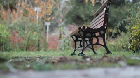 Secret garden Stock Footage 25042810