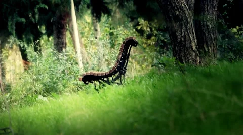 Secret garden Stock Footage 33294854