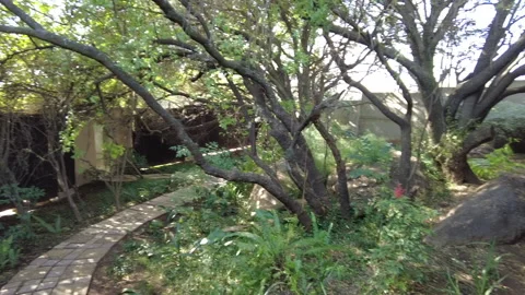 Secret garden 库存影片 157757463