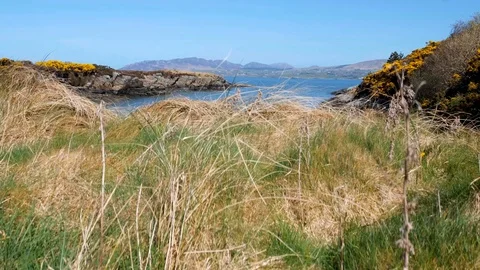 Secret Irish sandy beach with multi-colored sharp rocks and bright foliage Stock Footage 128999201