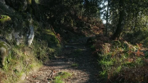 Secret path I found at a friends place in the mountains in Portugal Stock Footage 304004208