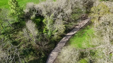 Secret Path in Peaceful Park Drone Footage Stock Footage 335718619