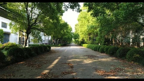 Secret road Video stock 91929709