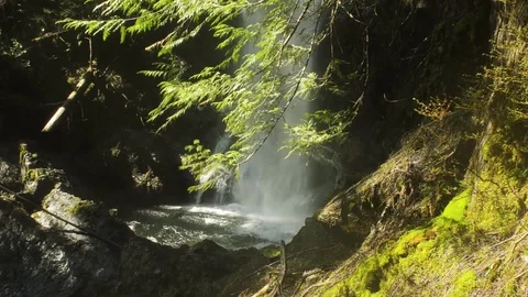 A secret water fall in the rain forest Stock Footage 102783147