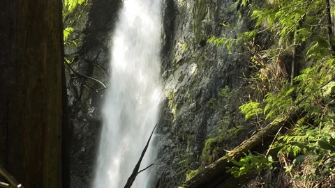 A secret water fall in the rain forest Stock Footage 102783176