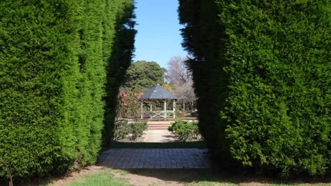 A secrete passage between trimmed hedges leads to a gazebo in garden Vídeos de archivo 275828376