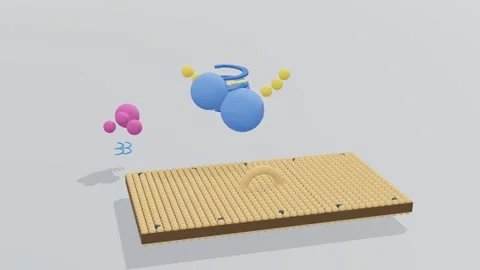 Secreted protein protein secretion 3d loop white background 3D animation Stock Footage 341850934