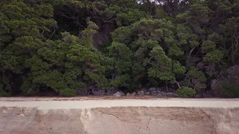 A section of beach washed away by the tide, New Zealand Video stock 132706026