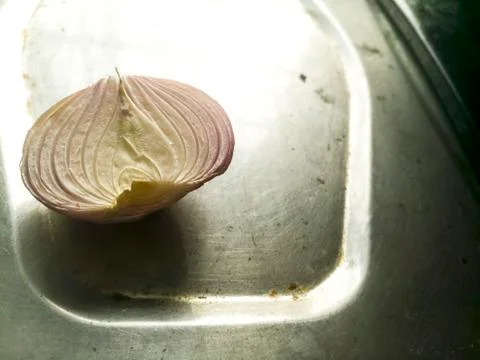 A section of big onion. Stock Photos