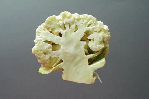 Section of a cauliflower on a gray background Foto stock
