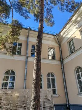 A section of a classical building framed by tall pines, with metal detailing Stock Photos