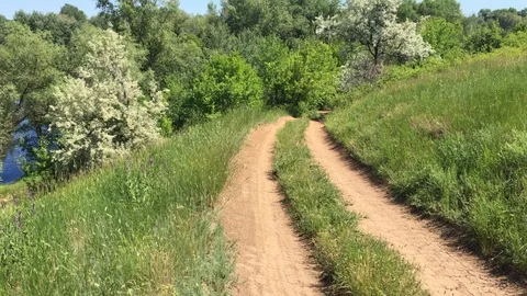 Section of forest dirt road. 動画素材 109435159