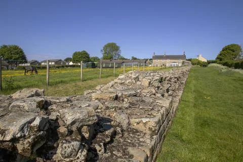 A section of Hadrian's Wall in Heddon-on-the-Wall in Northumberland, UK Foto stock