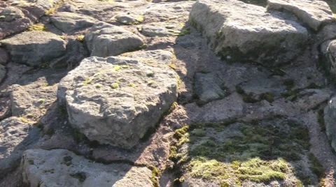 Section of Hadrian's Wall Roman Frontier World Heritage Site Stock Footage 1089892