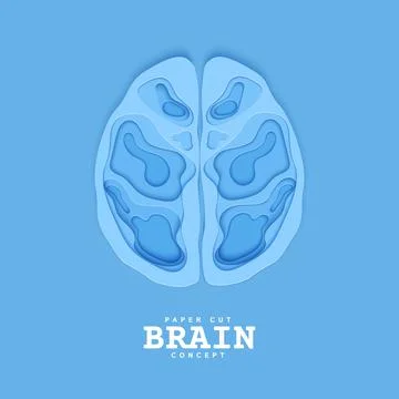 Section of the human brain in papercut style. Blue cardboard cutting layers Stock Illustration