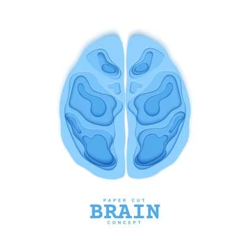 Section of the human brain in papercut style. Blue cardboard cutting layers Stock Illustration