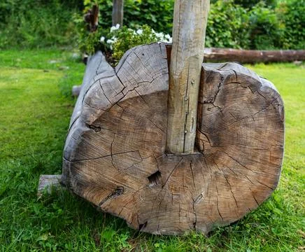 Section of a large tree trunk showing all its grain Stock Photos