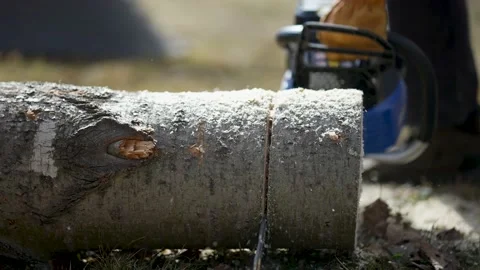 Section of log falls off a log in slow motion of chainsaw cutting through a log Stock Footage 150509060