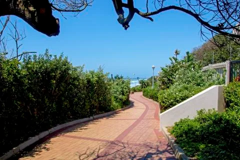 Section of Paved and Patterned Vegetation Lined  Beach Walkway Stock Photos