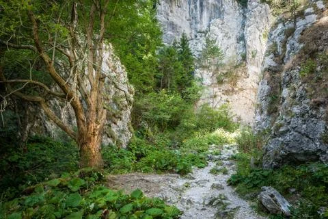 Section of prosiecka valley Stock Photos