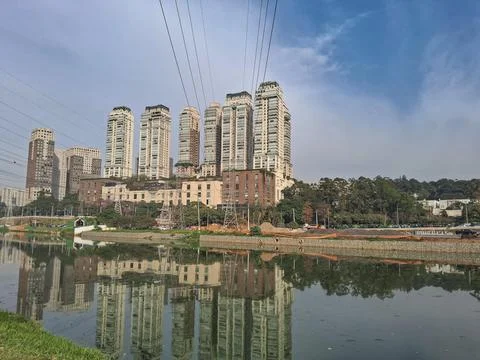 Section of a river, in the final stage of silting. Stock Photos
