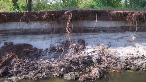 Section of soil with layers and grass roots after collapse. Stock Footage 252386085