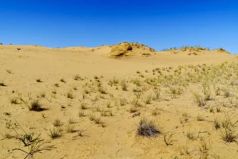A section of the spring desert with sand dunes Stock Photos