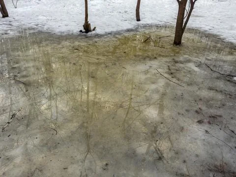 Section of spring snowy park with puddle of melt water Stock Photos