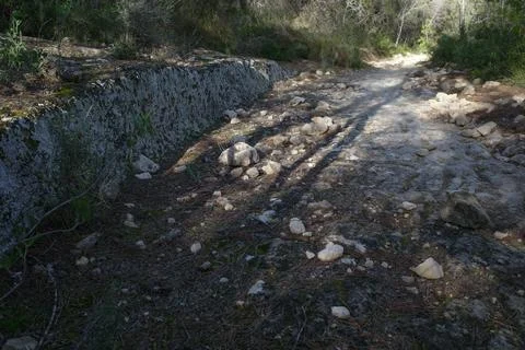 Section of a trail Foto stock