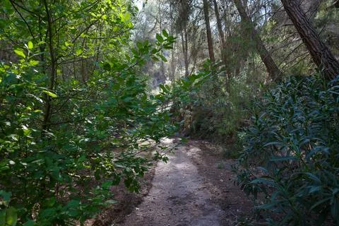 Section of a trail Stock Photos