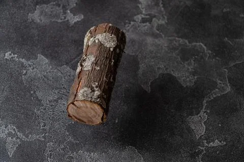 Section of tree trunk hovering over dark concrete surface. Stock Photos