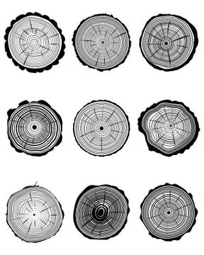 Section of trunks Stock Illustration
