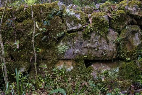 A  section of a very old stone wall covered in moss, at the hillside of the I Foto stock