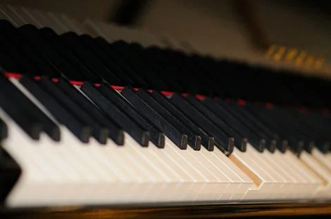A Section View of a Piano Keyboard Stock Photos